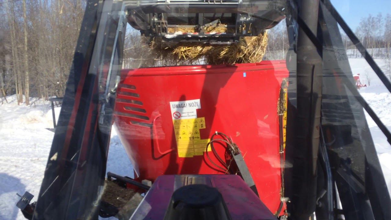 Дневные работы в КФХ Герефорд