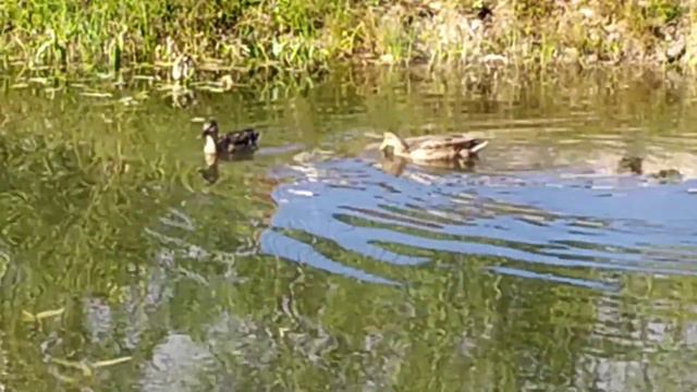 Деревенское детство:он знает,как будет по - настоящему круто!🤗 смотреть онлайн