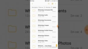 Как вытащить фото и видео из WhatsApp