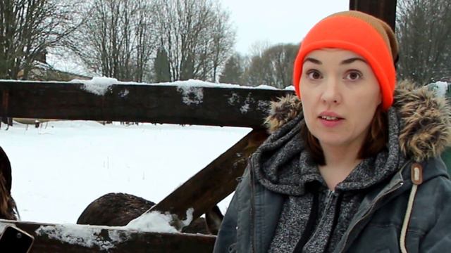 Veles от "Санкт-Петербург — город ДоброТы" смотреть онлайн