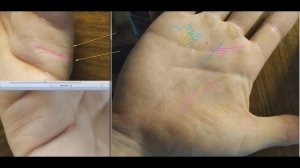 Личная жизнь Василия или драма. Обзор руки . Хиромантия.