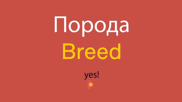 Порода по-английски смотреть онлайн