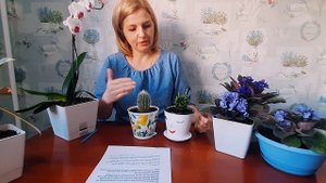 Окруж.мир (комнат.растения ) Всёзнайка Васильева Т.В.