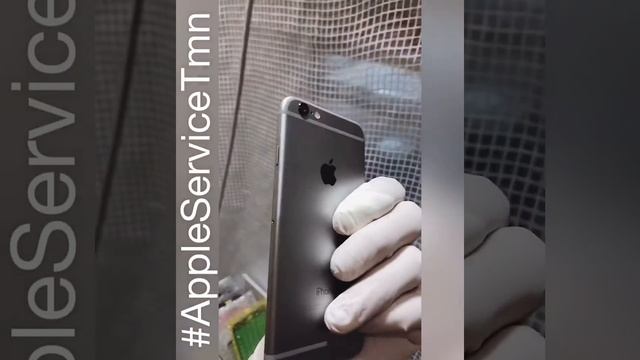 Замена только Стекла iPhone 6 в Тюмени