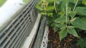 Заброшенный ваз 21011 Копейка