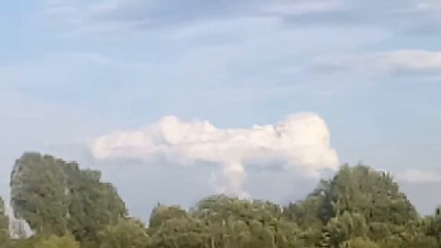 Облако собака,или что вы курите смотреть онлайн