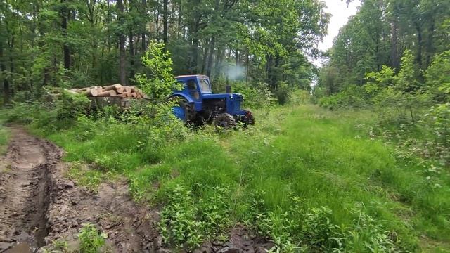 ОФФРОАД Т 40АМ Тяжелая работа в лесу Перевозка дров с телегой | тюнинг | Застрял часть-3 смотреть онлайн