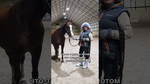 Вдогонку к статье про лошадиное зрение решили снять небольшой видеоролик смотреть онлайн