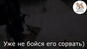 Боязнь громких звуков у собаки, 12-е занятие