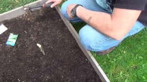 АМЕРИКА Приводим в порядок двор, высаживаем огород