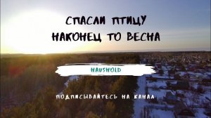 Спасли птицу. Наступила весна.