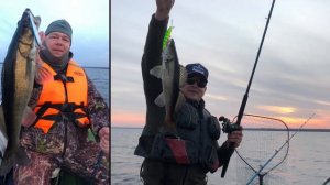 Ловля судака троллингом