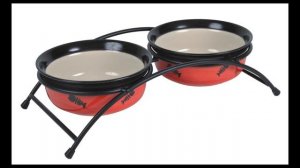 Миски для собаки, какие бывают и какие выбрать?