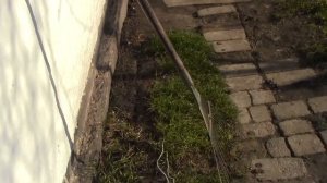 Каждогодичная обработка участка сада метаризином.