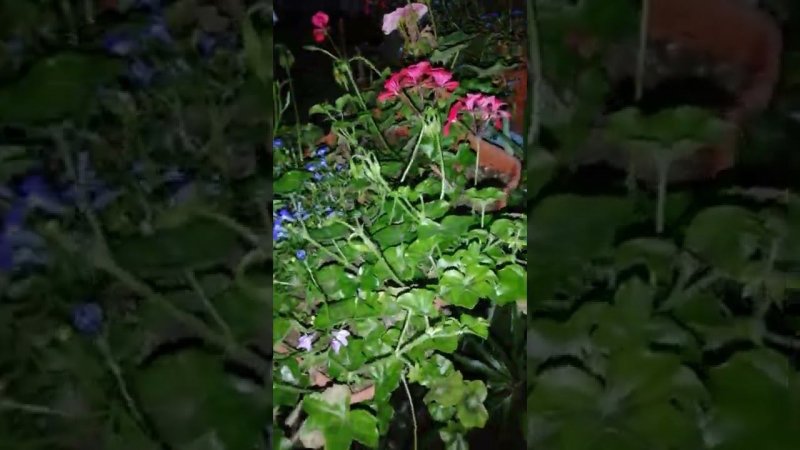 Ночной балкон