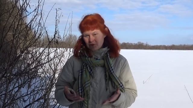Весеннее обострение: как избежать
