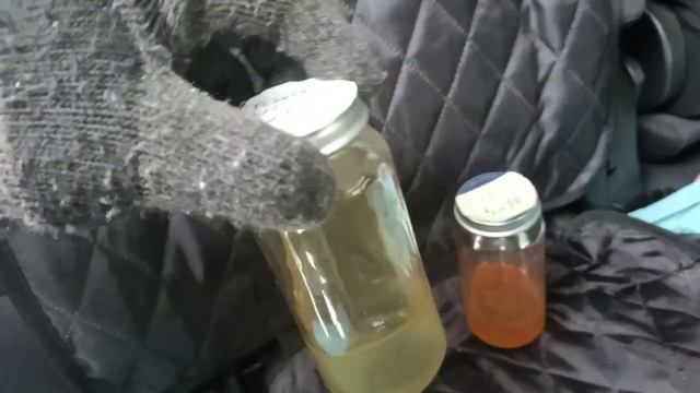 Заморозка масел 5w30 при 34C Amsoil SS Ravenol DXG PetroCanada SS.