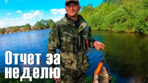 Отчет рыбалки за неделю. "Новая рыбалка" в Белгороде