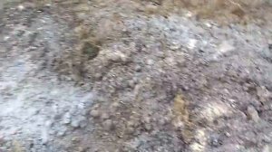 ПОДГОТОВКА ТЕПЛИЦЫ К ЗИМЕ.                                                  #теплица#подготовка#зим