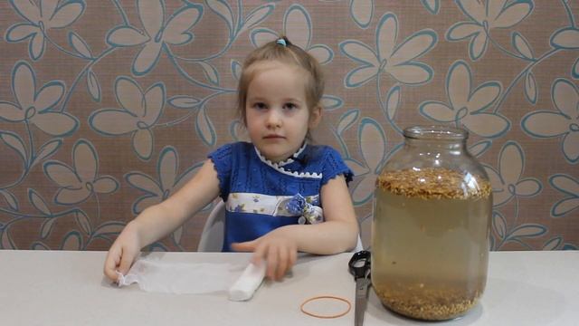 Берёзовый квас. Самый простой рецепт. Miss Masha делает квас из березового сока на ячмене смотреть онлайн