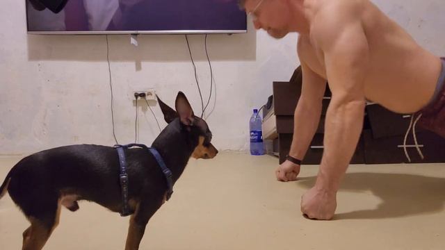 Отжимания каждый день, день 126. Укрепляем кулаки, часть 2 снова с понедельника по понедельник. смотреть онлайн