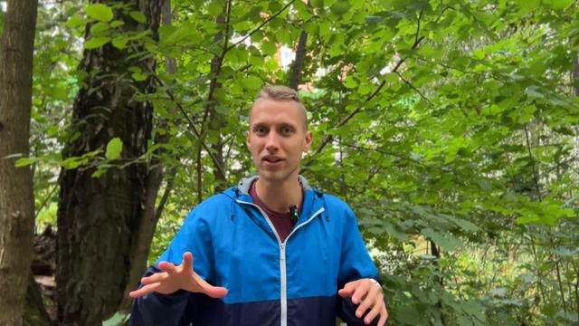 Осторожно, ПОДДЕЛКА МЕДА ! Как выбрать настоящий качественный мед ? Как определить качество меда ? смотреть онлайн