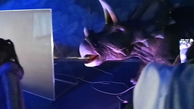 Выставка динозавров возле ТРЦ "Март Village" смотреть онлайн