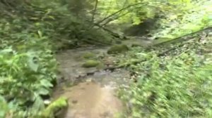 Беларусь Мая!Песня на Белорусском языке о нашей Родине!Исполняется под гитару.