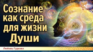 Сознание как среда для жизни Души