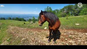 Stolovi mountain Kraljevo   https://www.facebook.com/stolovi.mountain.serbia/