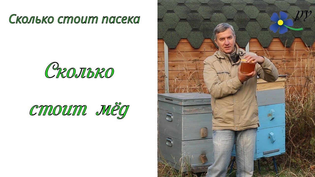 Гудков пчела. Бесконтактное Пчеловодство. Я завелась Гудков пчела