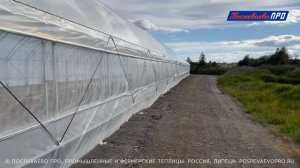 Как правильно сделать автоматическое боковое проветривание  в пленочной теплице Супермодуль.