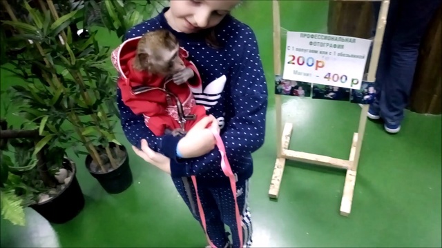VLOG Контактный зоопарк Зверополис в Москве, ТЦ Реутов Парк