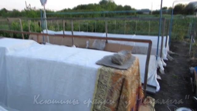 О сортах томатов ОРАНЖЕВОЕ СЕРДЦЕ смотреть онлайн