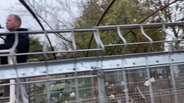 632❤️Летят перелётные птицы. Вырисовывается навес в птичнике. Уютный вечер в селе. смотреть онлайн