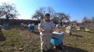 Пасека Лаврова. Наши мероприятия для интенсивного развития семей весной. Наш пасечный журнал.