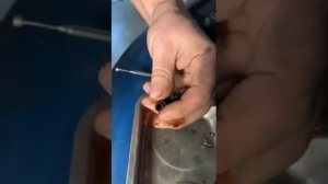 Замена маслосъёмных колпачков EP6 без снятия ГБЦ — ПРОЦЕСС РАССУХАРИВАНИЯ 2020 03 04 at 19 18 43