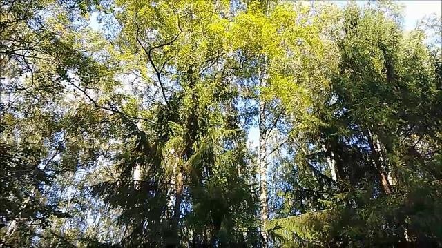 Вечер уходящего лета