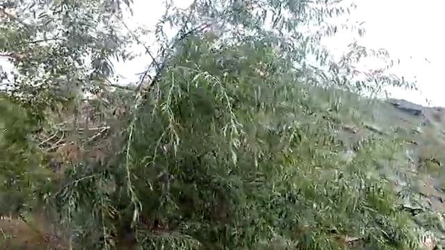 как хочу, так и строю смотреть онлайн