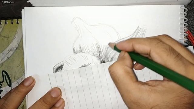 Daily Doodle - Day 5 | Drawing in Lockdown | How to draw Garlic step by step | Pencil sketch drawin смотреть онлайн