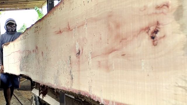 orang inilah cukong sawmill yang curang akibatkan kebangkrutan !! смотреть онлайн