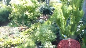 Тула (Tula) Наша дача"