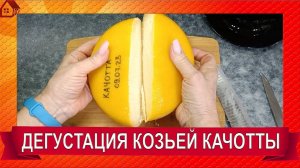 ДЕГУСТАЦИЯ СЫРА/ КАЧОТТА из козьего молока/ выдержка 2 месяца