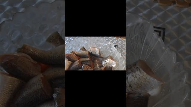 Консерва домашняя из речной рыбы. смотреть онлайн