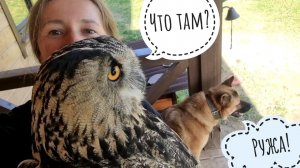 Осенний субботник в вольере совы филина Ёлки. Пока мы косим, сова отдыхает в доме