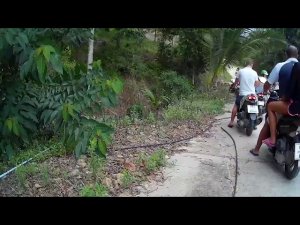 На мопедах по джунглям острова Самуи, Таиланд