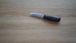 Mora 510