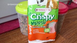 ПОКУПКИ из Зоомагазина для Морских Свинок / КОНКУРС!!! / SvinkiShow / Свинки Шоу