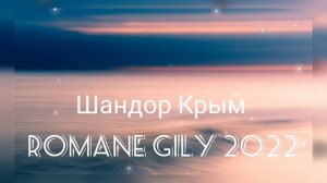 Шандро Крым - Загуляли пацаны 2022 Cover