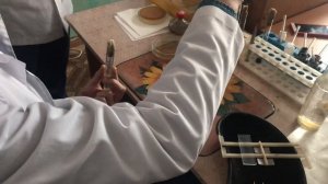 Мазок из жидкой среды